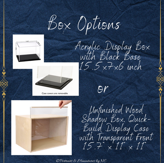 Diorama Box Options