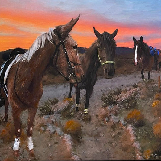 commissioned horse portrait