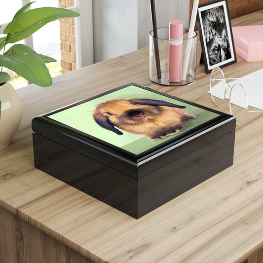 Jewelry / Keepsake Box - Holland Lop Rabbit - Lacquered Box black