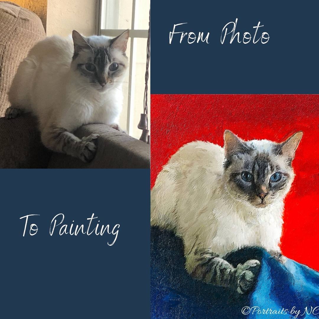 From Photo to Painting Cat Portrait