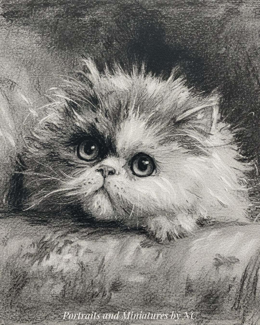 Detailed pencil drawing of a fluffy cat on a textured surface by Portraits by NC