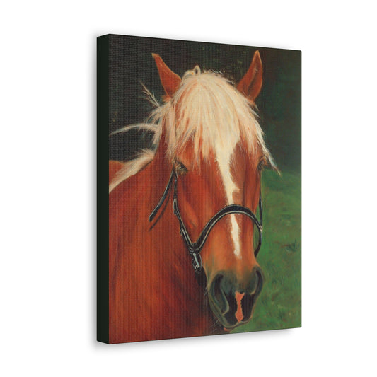 Brown Horse - Gallery Wrap Canvas Print