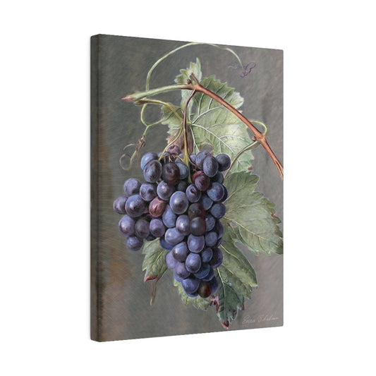 Fruit Print - Purple Grapes, Matte Canvas, Stretched