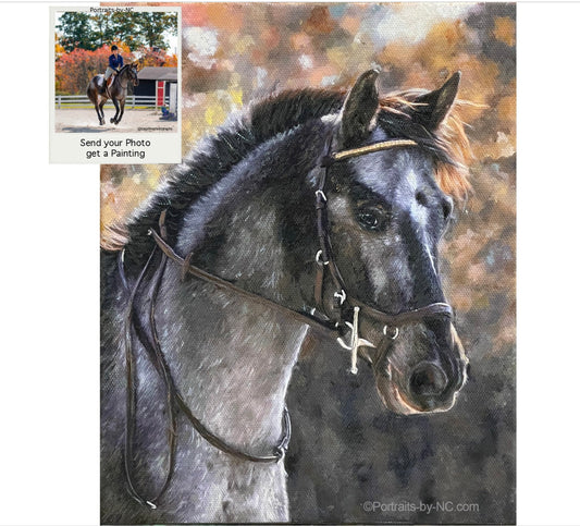 Appaloosa-Painting-in-Oil- custom-pet-portraits-hand-painted and digital artwork by artist Enzie Shahmiri before and after