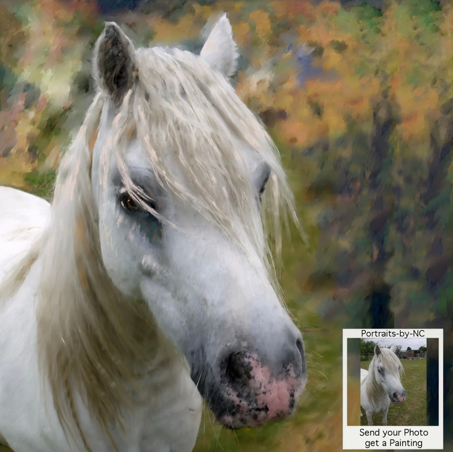 Lipizzaner Horse Horse Custom pet portrait, hand-painted and digital artwork by Enzie Shahmiri