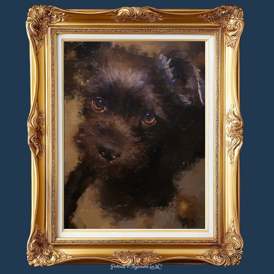 Affenpinscher Puppy - Affenpinscher Portrait