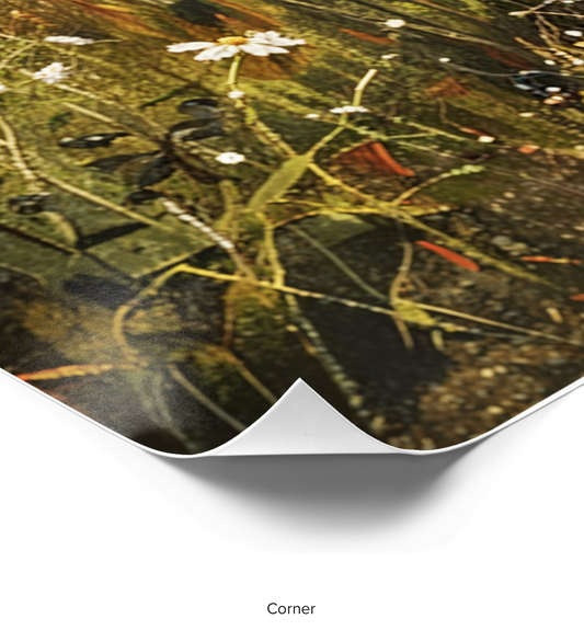 Vintage Church in a Meadow Poster corner