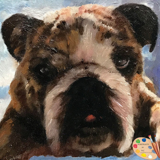 #546 Bulldog Oil Portrait - Commissioned Dog Portrait 