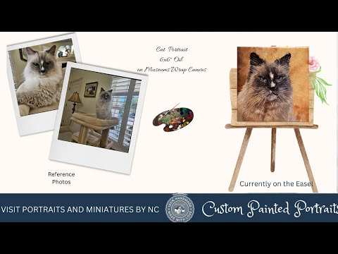 Birman Cat Portrait in Oil