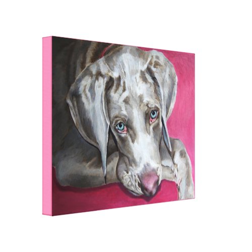 Weimaraner Canvas Print