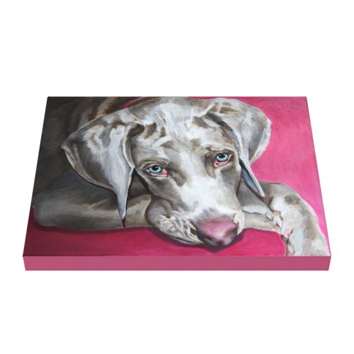 Weimaraner Canvas Print