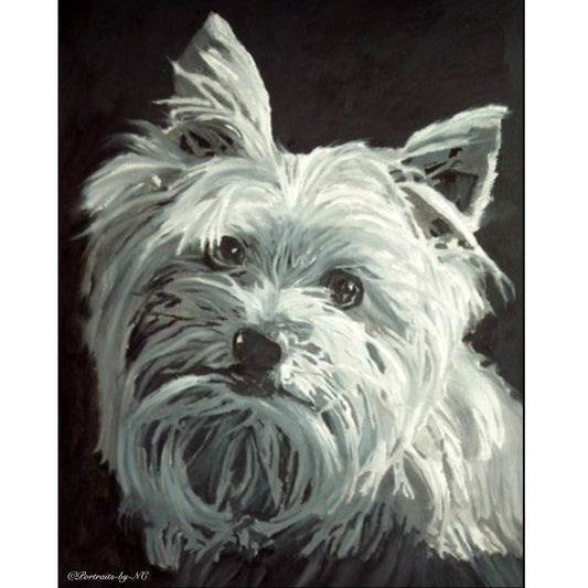 Yorkie Portrait