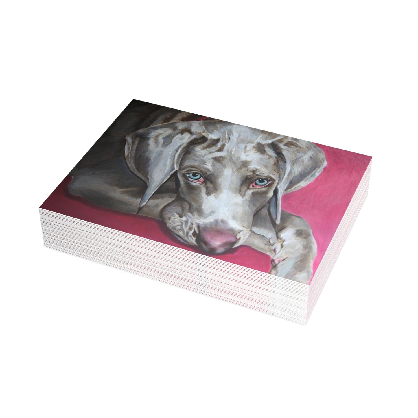 Weimaraner Greeting Card - Folded Greeting Cards (1, 10, 30, and 50pcs)