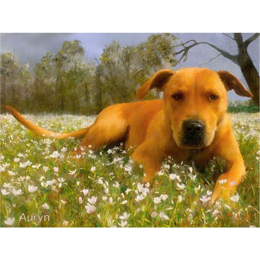 Custom Dog Portrait of Pit Bull