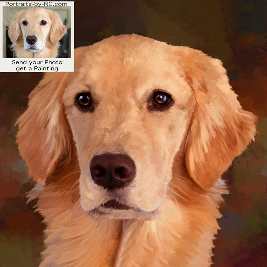 Golden Retriever Portrait from Photo