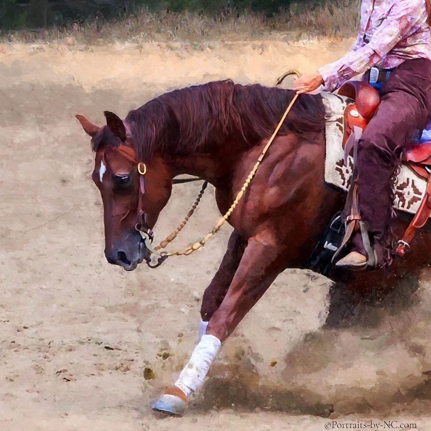 American Quarter Custom pet portrait, hand-painted and digital artwork by Enzie Shahmiri detail of horse