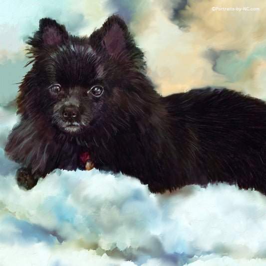 German Spitz Painting