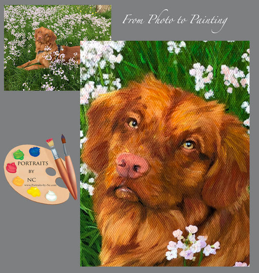 Labrador Oil Portrait 586 from Photo