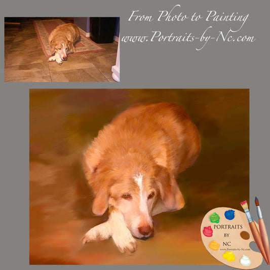 Labrador portrait from Photo 633