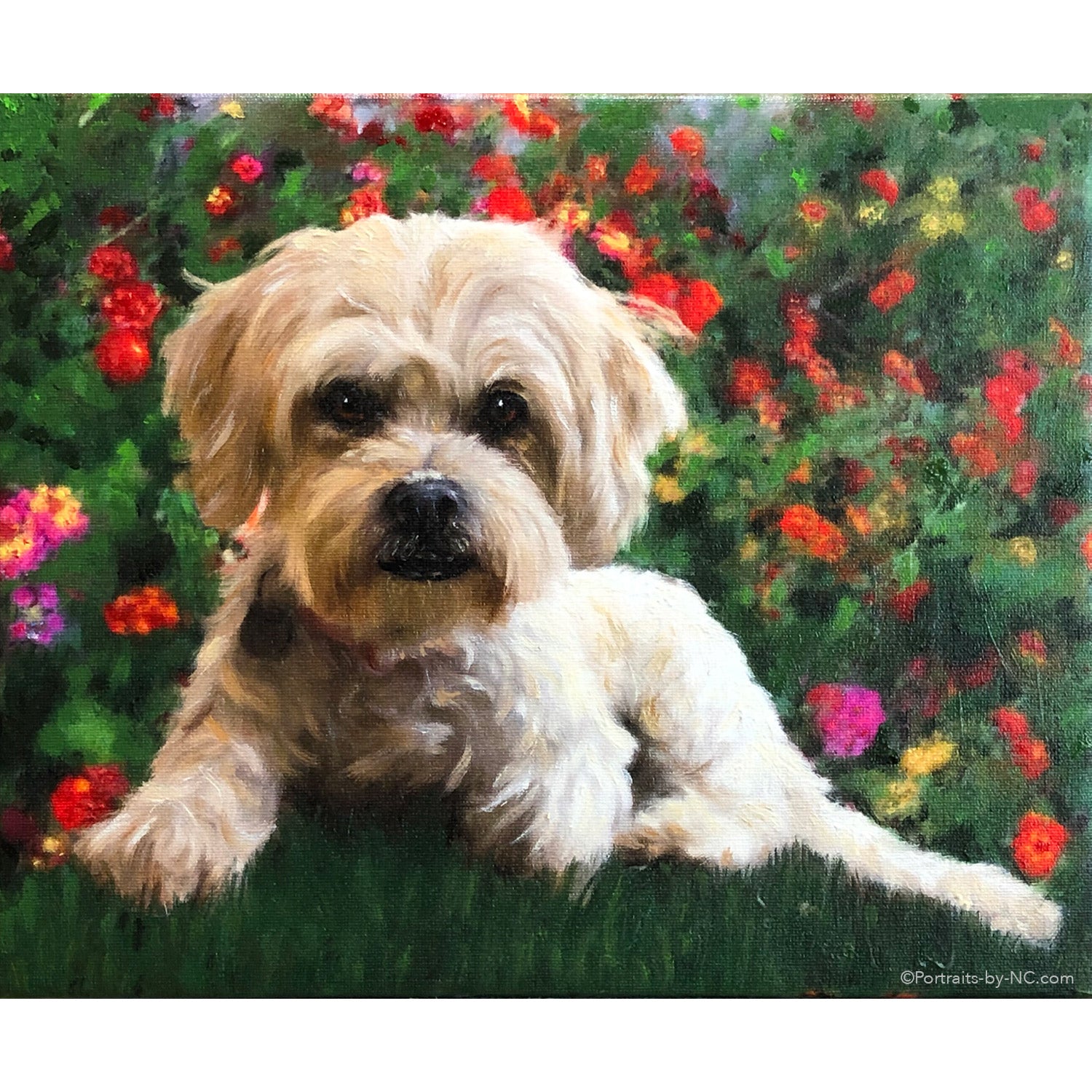 bagværk Pekkadillo Christchurch Lhasa Apso Poodle Mix Dog Oil Portrait – Portraits and Miniatures by NC
