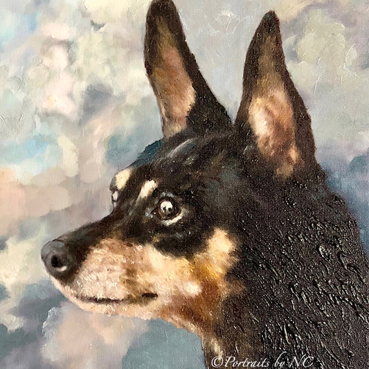 Miniature Pinscher Dog Portrait