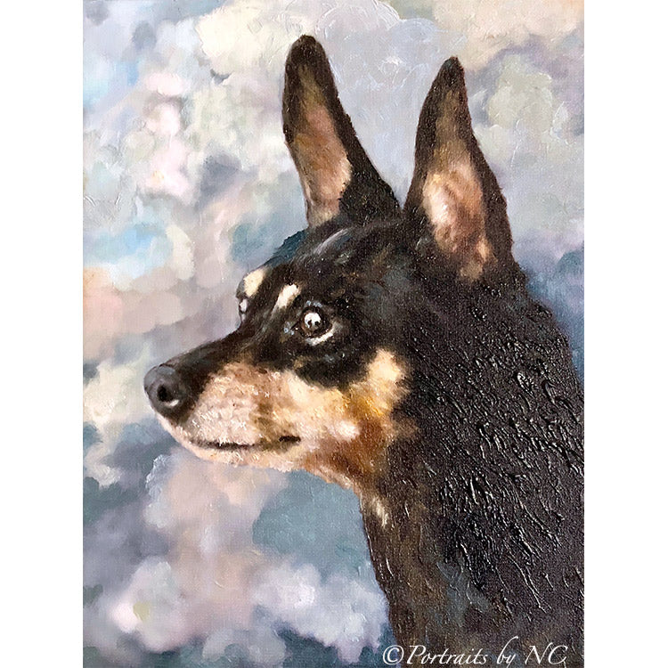 Miniature Pinscher Dog Portrait