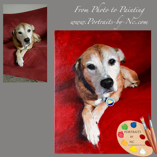 Pit Bull Mix Portrait from Photo 625