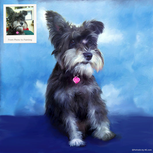 schnauzer portrait from photo