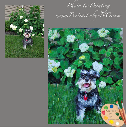 Schnauzer Dog Portrait from Photo