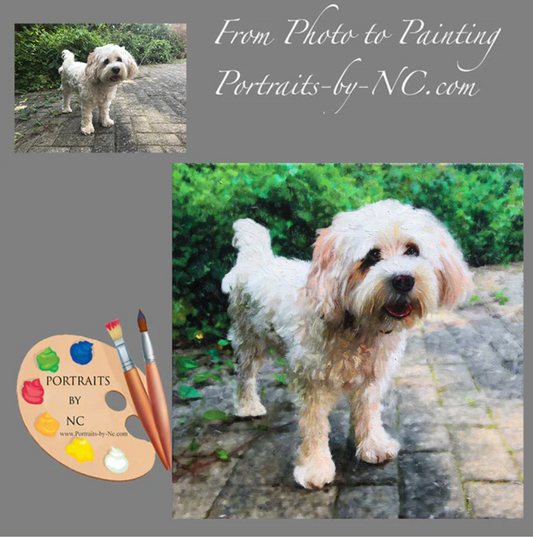 Cavachon Oil Portrait from photo