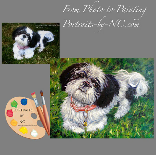 Shih Tzu Oil Portrait from photo