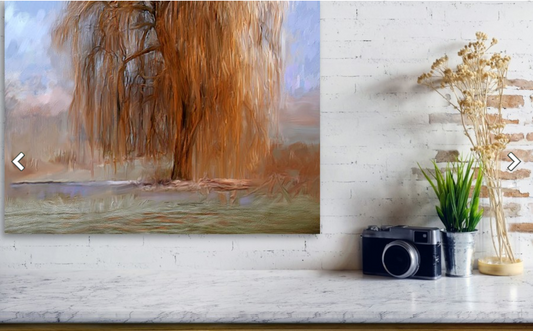 Willow Tree - Metal Print Small