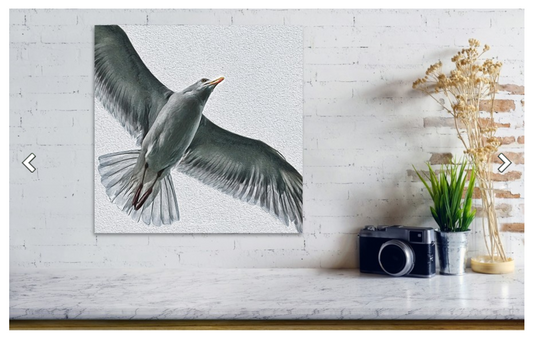 Seagull Bird Metal Print