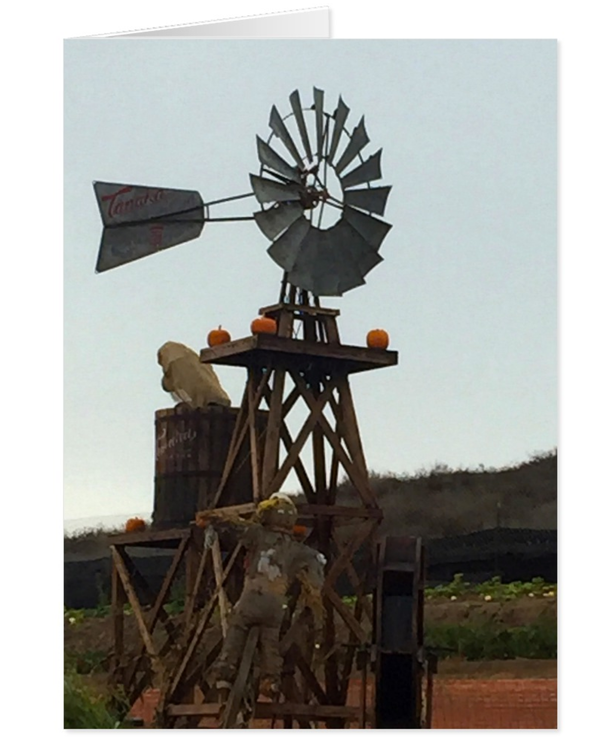 Windmill Greeting Card