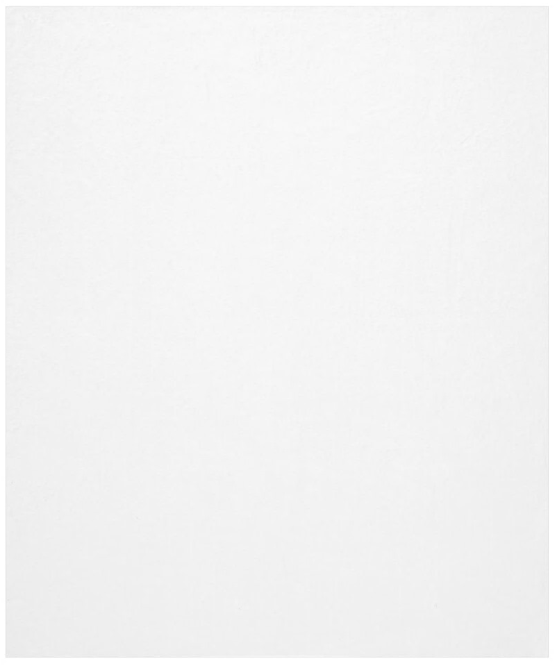 Sparrows Keeping Company Fleece Throw Blanket Back