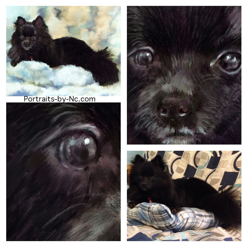 German Spitz Painting Detail