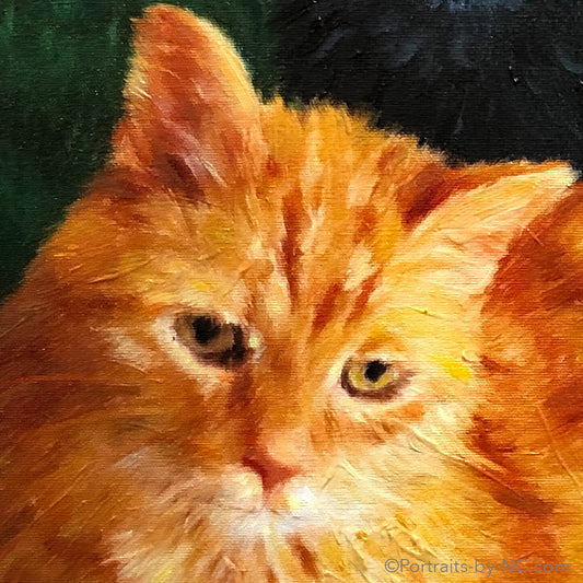 Cats Group Portrait in Oil 684 - Portraits by NC