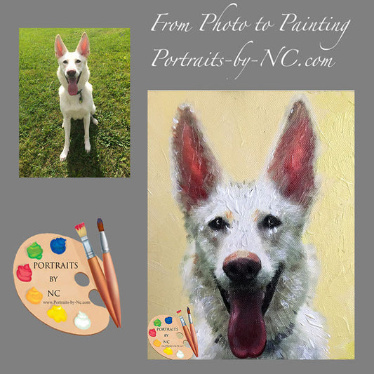 white-shepherd-portrait-004