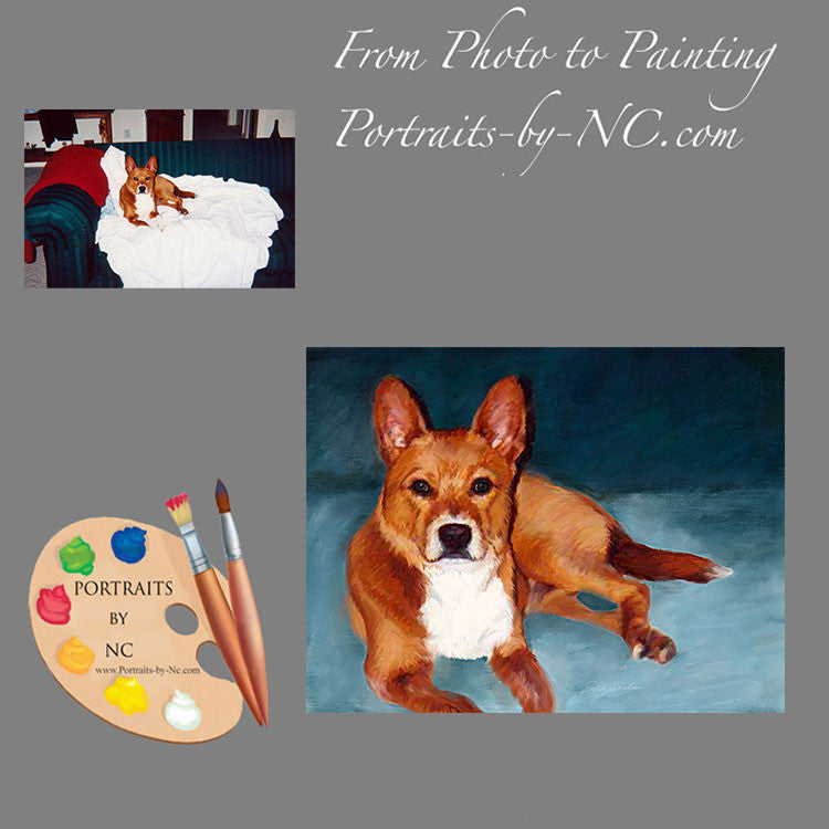 Basenji Dog Portrait 281 - Portraits by NC