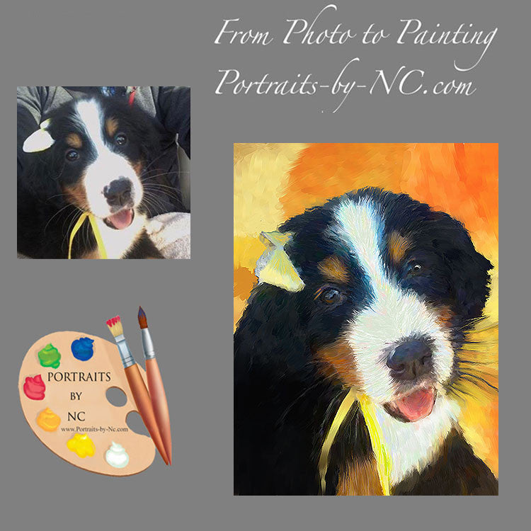 Bernese Mountain Dog Puppy Portrait 544 - Portraits by NC