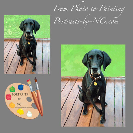 Great Dane Dog Portrait from Photo