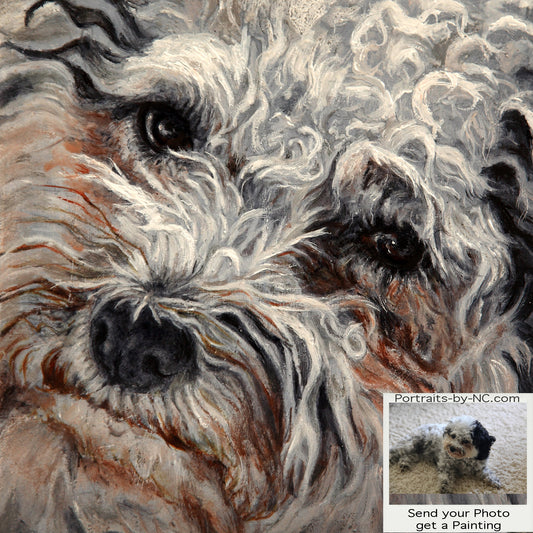 Bolognese dog portrait from photo