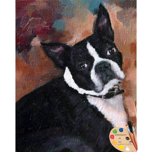 Boston Terrier Dog Portrait 527 - Portraits by NC
