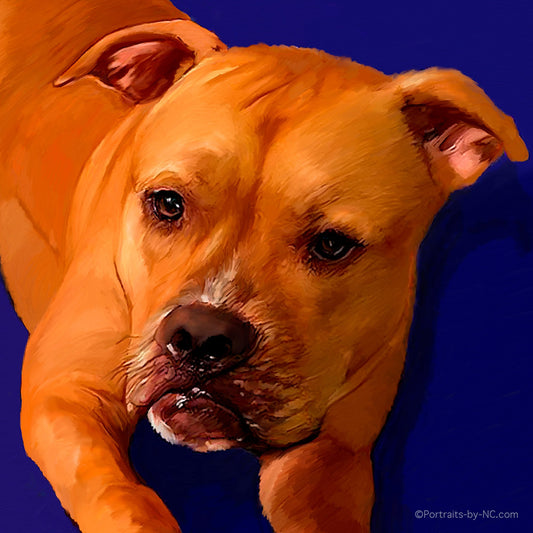 Boxer Face Portrait 393