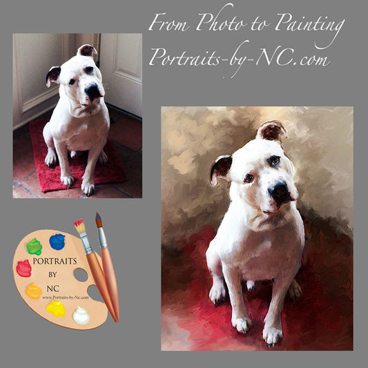 Boxer Dog Portrait 545 - Portraits by NC