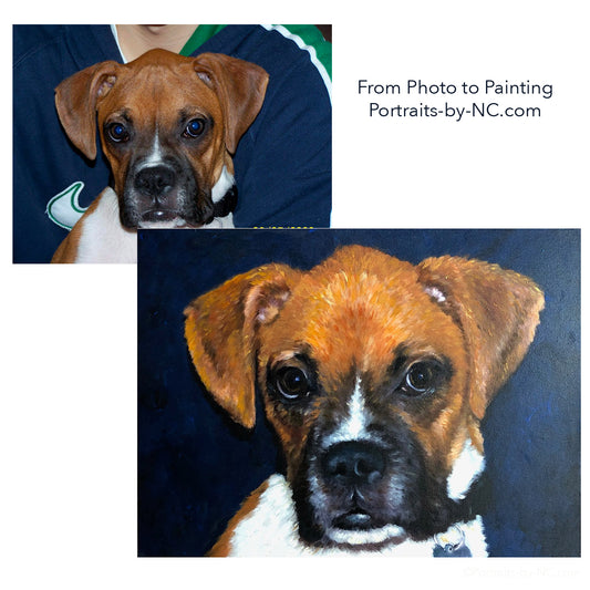 Boxer Puppy Oil Portrait 690 - Portraits by NC