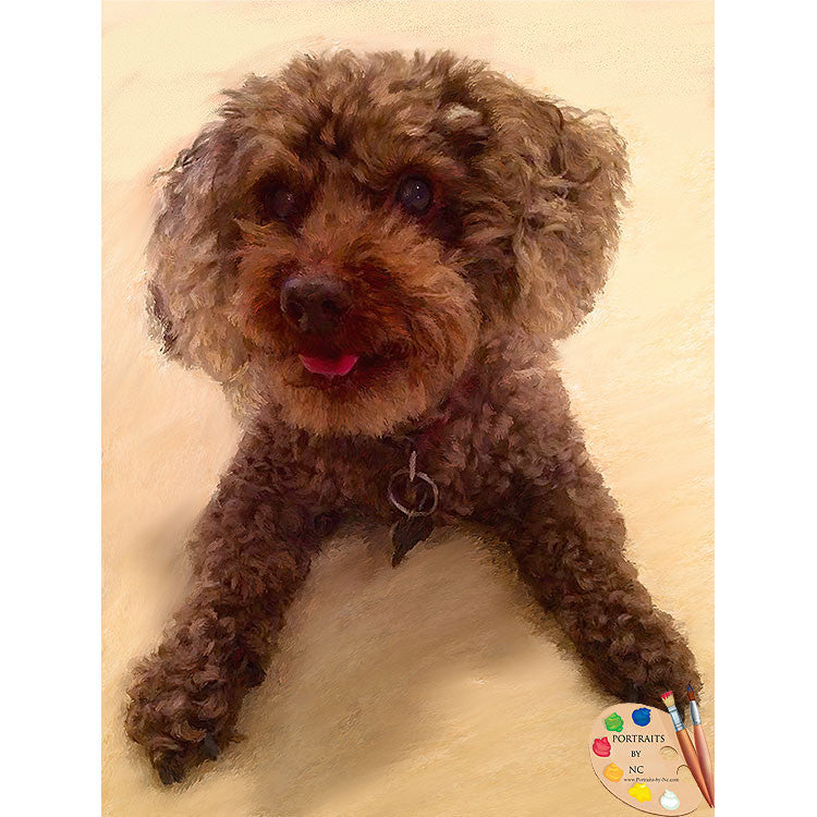 Brown Poodle Dog Portrait 475 - Portraits by NC