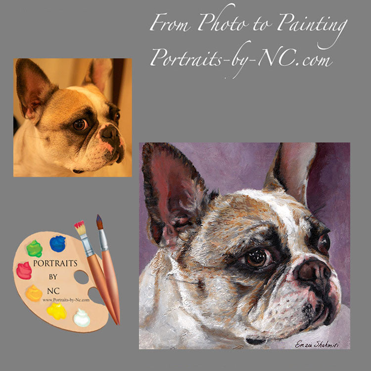 French Bulldog Portrait from Photo 172