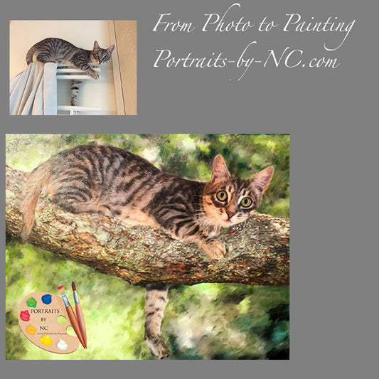 Cat Portrait Cat in Tree 375 - Portraits by NC