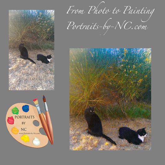 Cat Portrait 415 - Portraits by NC